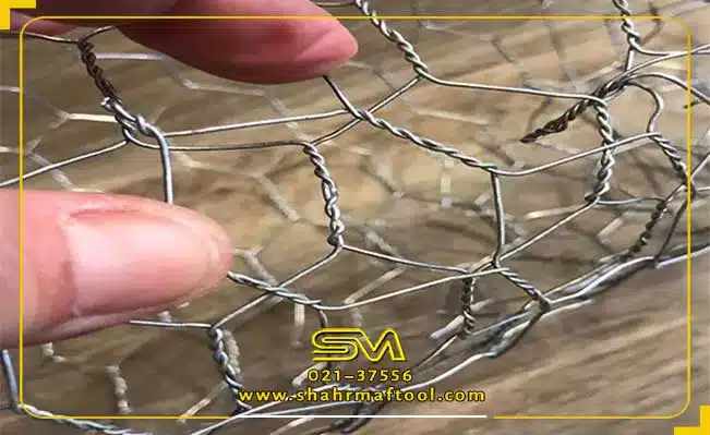 نکات مهم هنگام خرید توری فرنگی