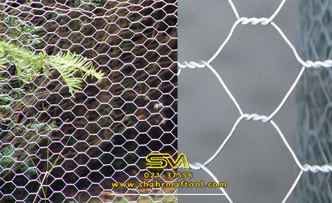 مقایسه توری مرغی و فرنگی