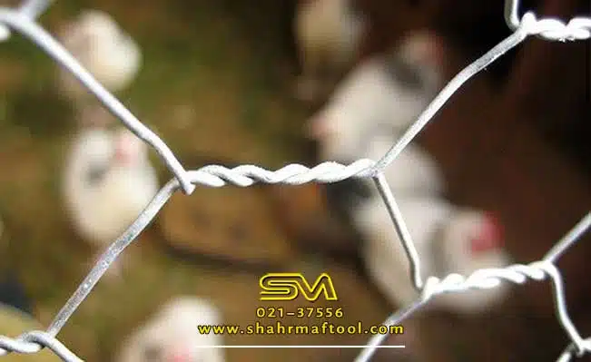 توری مرغی