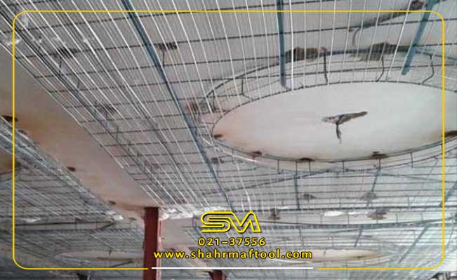 رابیتس بهتره یا کناف