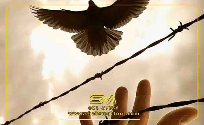 قیمت سیم خاردار حلقوی
