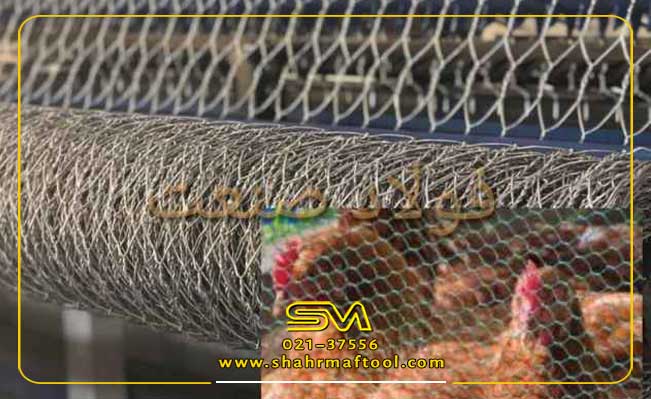 ابعاد توری فنچی