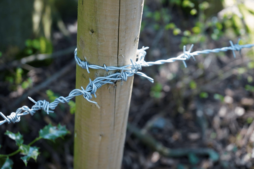 اتصال ابتدای سیم