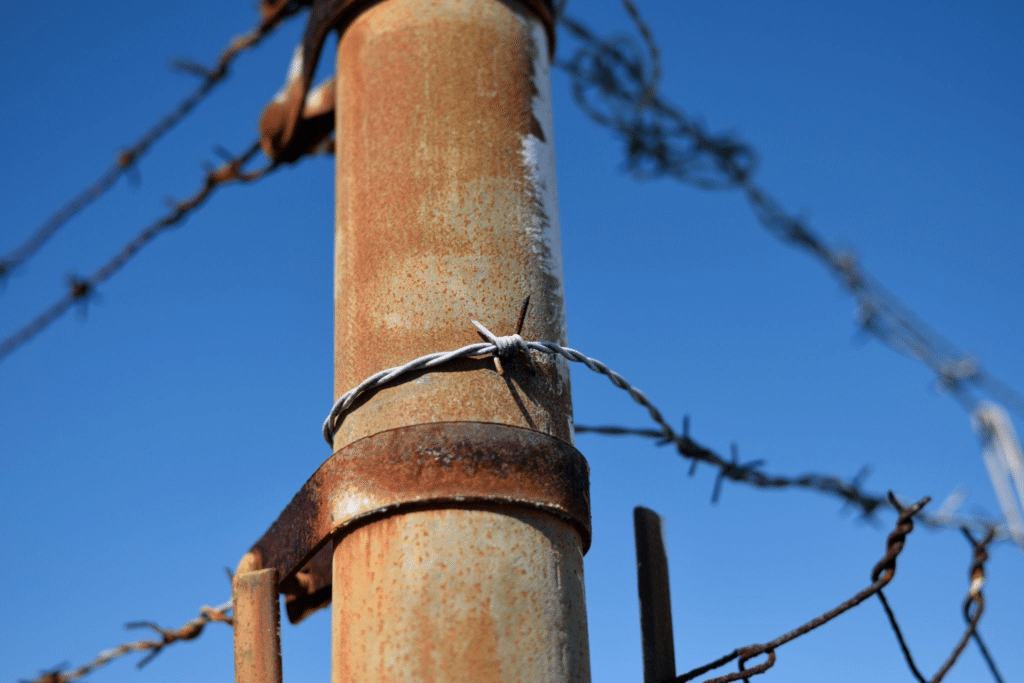 تثبیت در فواصل منظم